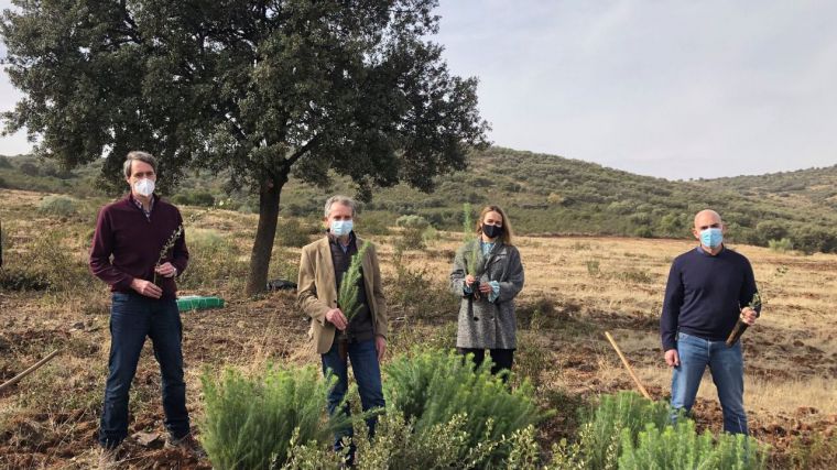 Novartis se une a Reforesta para poner freno a la desertificación y dar oxígeno con 3.000 árboles a la Sierra de Valdehierro en Madridejos
