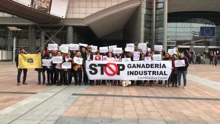La Plataforma 'No a la macrogranja en Pozuelo y Argamasón' considera urgente una moratoria a la ganadería industrial a nivel estatal 