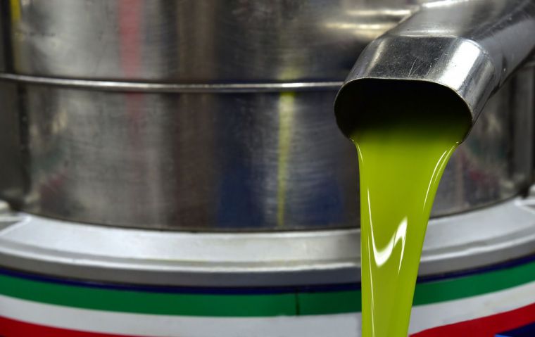 Centrifugadora aceite de oliva