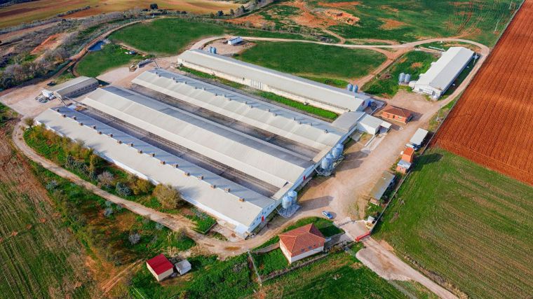 La concentración empresarial 'made in CLM' da lugar al segundo mayor productor de huevos de España